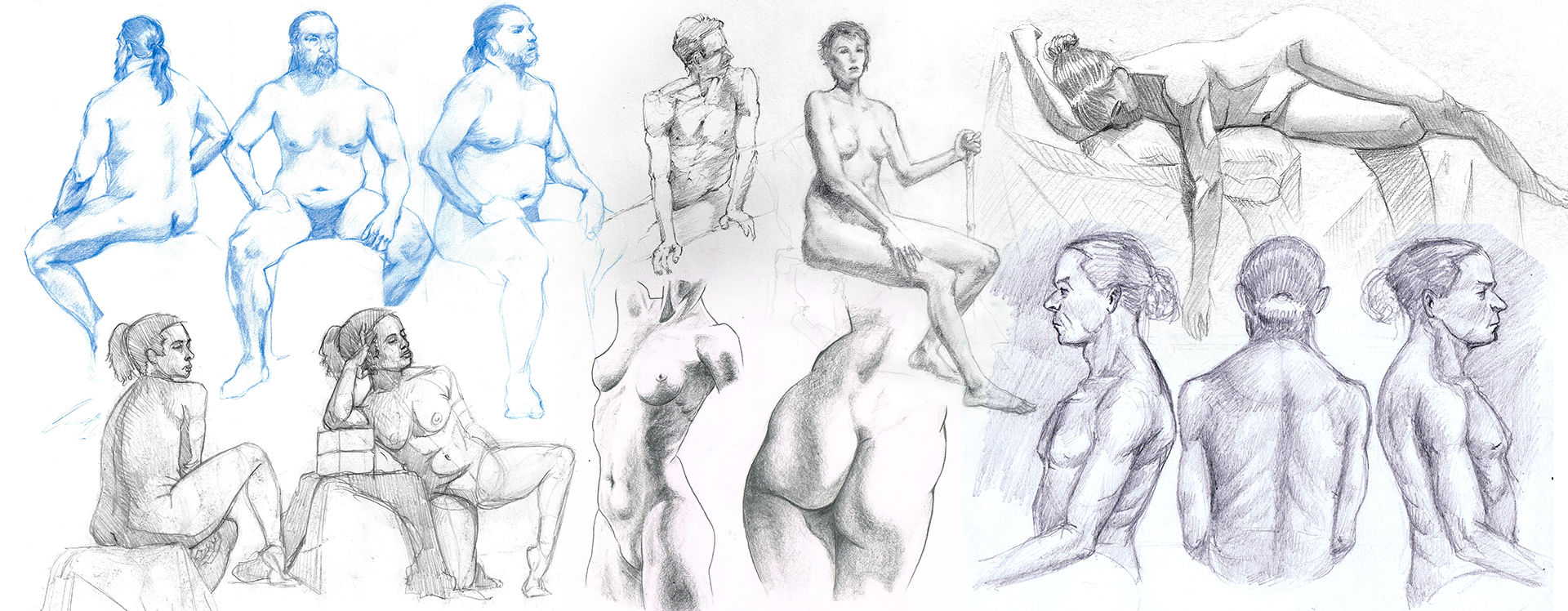 Human Anatomy Fundamentals: Advanced Body Proportions